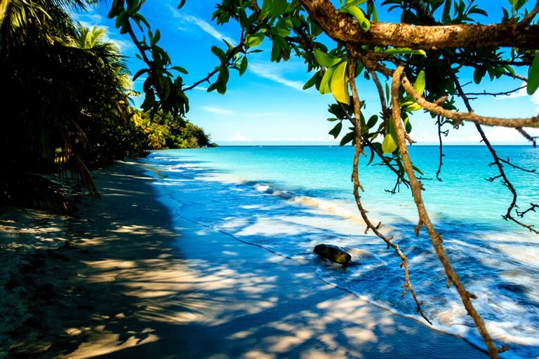 Wildlife Pur von der Karibik zum Pazifik mit Baden ©KikoStock /adobestock